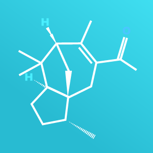 Vertofix – interlink