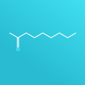 METIL HEPTIL CETONA METIL HEPTIL CETONA